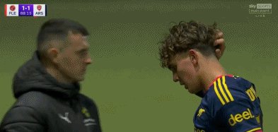 阿尔特塔道曼.gif