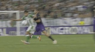 1792282628390052485.gif PA电子图片展示