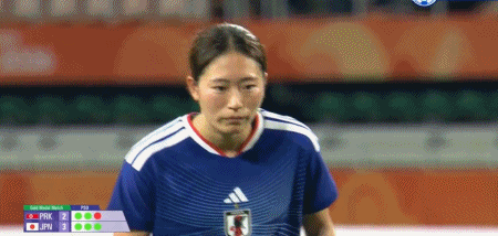 了解PA电子