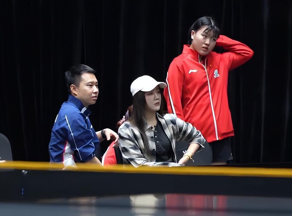PA电子介绍图片