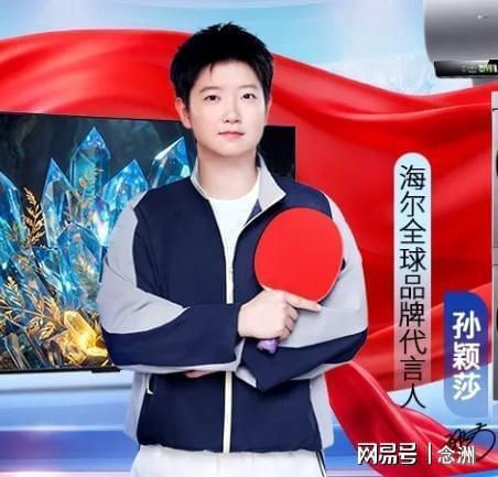 PA电子介绍图片