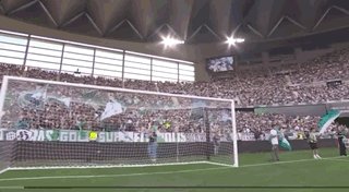 1792282593272077277.gif 了解PA电子